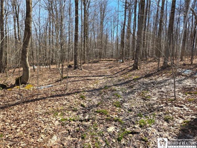 Land for sale in Falconer, New York