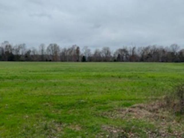 Land for sale in Bowling Green, Kentucky