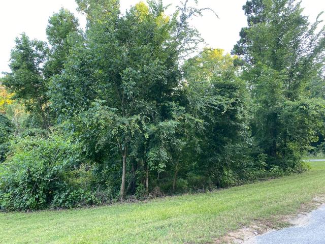 Land for sale in Texas