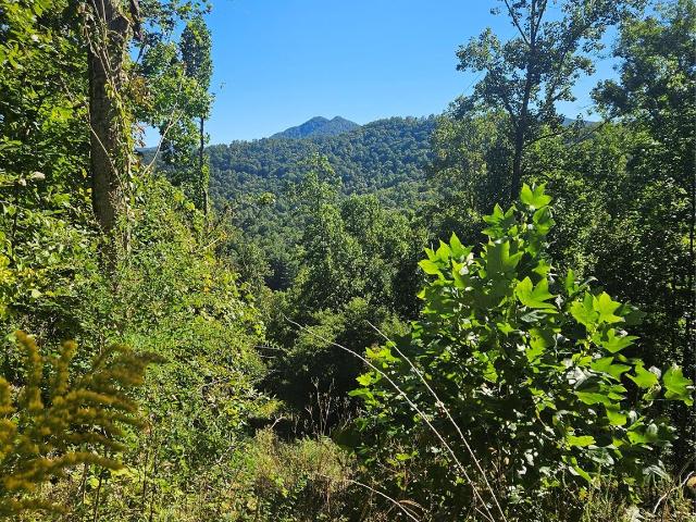 Land for sale in Bakersville, Mitchell County