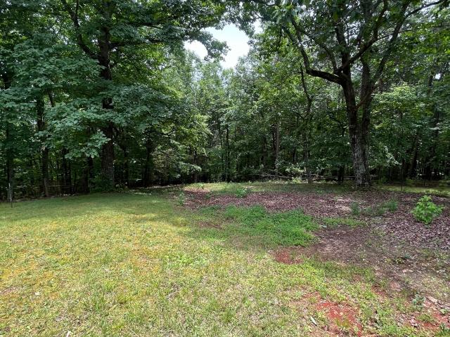 Land for sale in Cleveland, Georgia