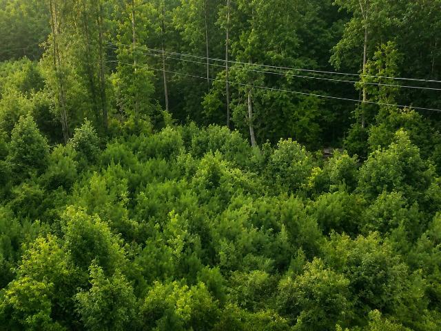 Land for sale in Moncks Corner, South Carolina