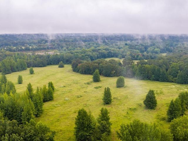 Land for sale in Ark