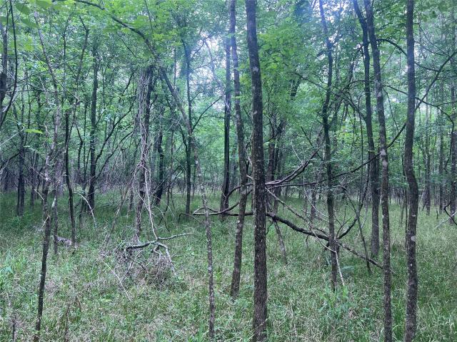 Land for sale in Oakhurst, Texas