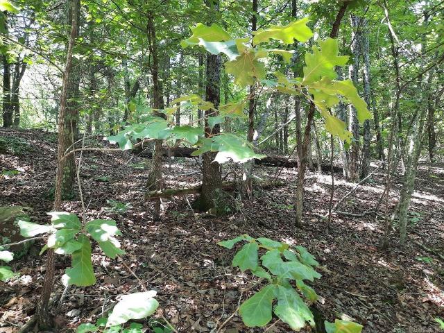 Land for sale in Ark