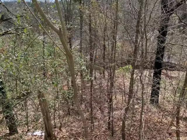 House for rent in Ark