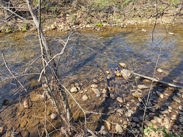 Land for sale in Virginia