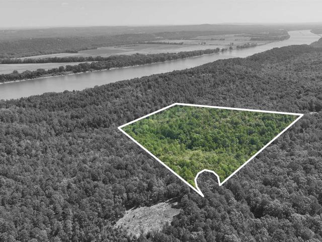 Land for sale in Ark