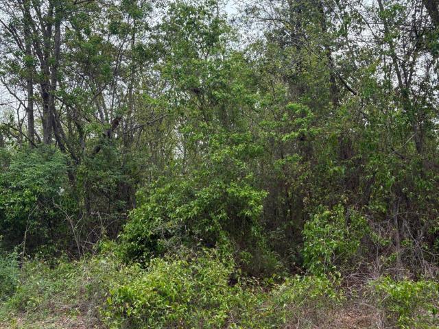 Land for sale in Waveland, Mississippi