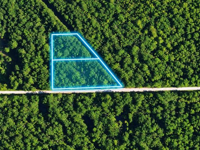 Land for sale in Woodcrest Acres, Lumberton