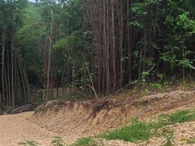 Land for sale in Pleasant Ridge, Hamilton