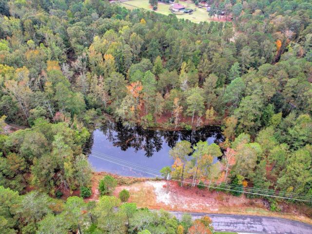 Land for sale in Stone Gap, Aiken