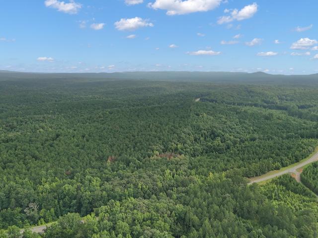 Land for sale in Upson, Georgia