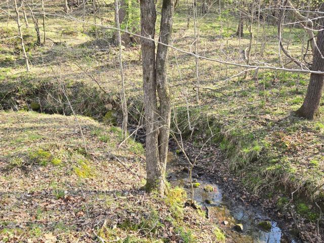 Land for sale in Vance, North Carolina