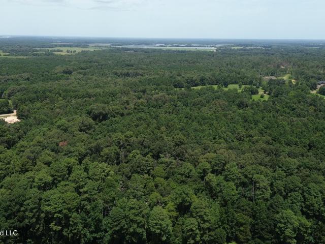 Land for sale in Mississippi