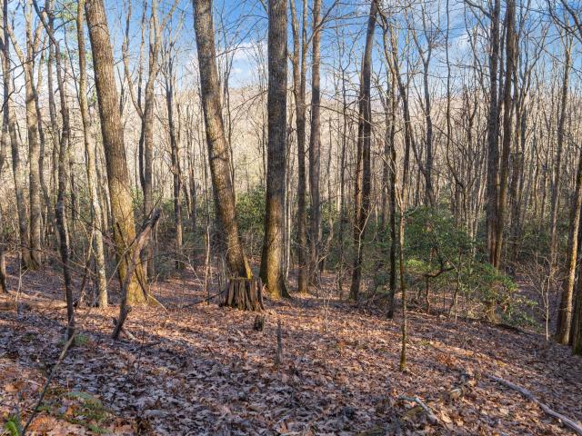 Land for sale in Cullowhee, Jackson County