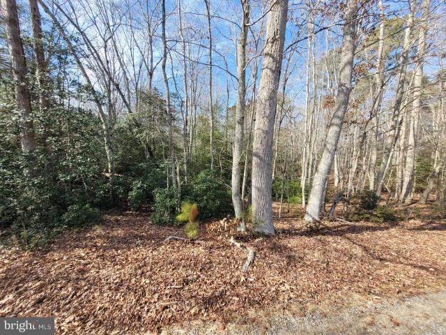 Land for sale in Virginia