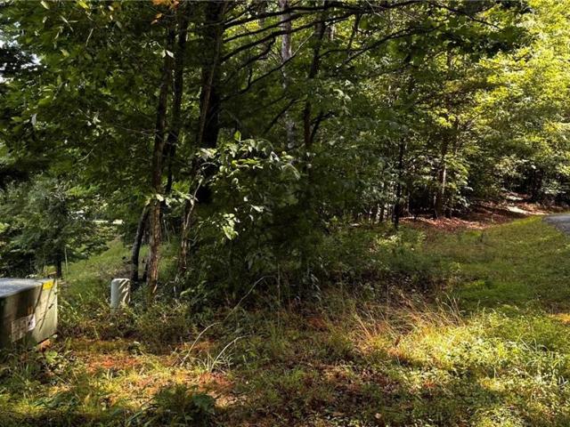 Land for sale in Wilkesboro, North Carolina