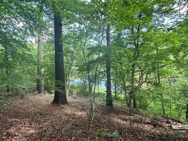 Land for sale in Wilkesboro, North Carolina