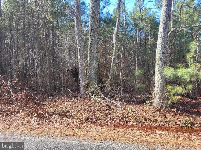 Land for sale in Virginia