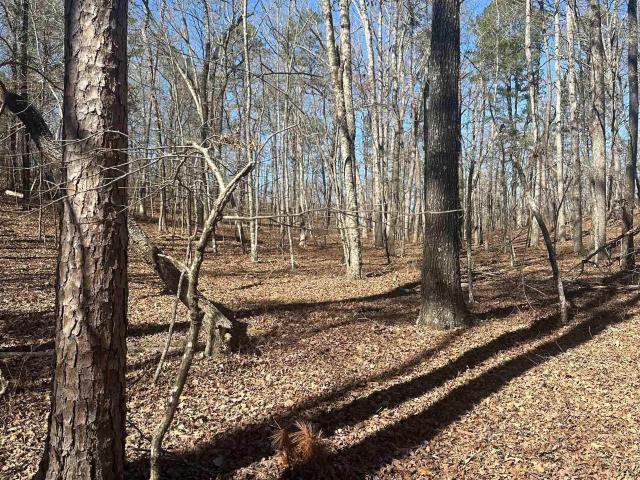 Land for sale in Ark