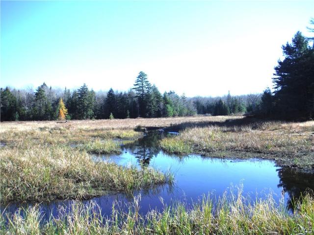 Land for sale in Oneida, New York