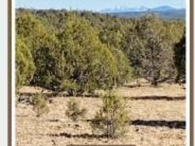 Land for sale in Ash Fork, Arizona