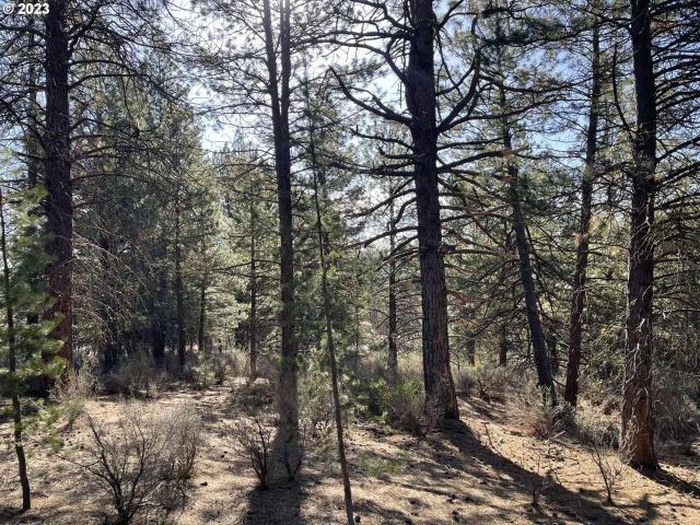 Land for sale in Chiloquin, Klamath County