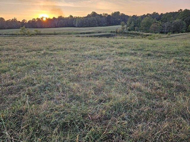 Land for sale in Tuscumbia, Alabama