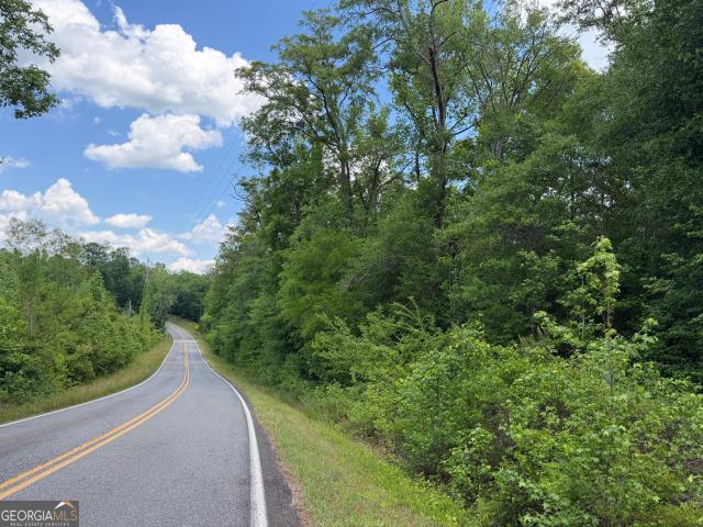 Land for sale in Wilkinson, Georgia