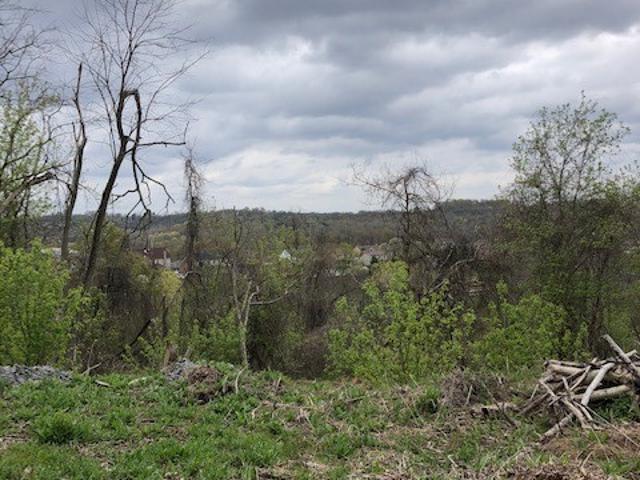 Farm for sale in Piney Fork, South Park Township