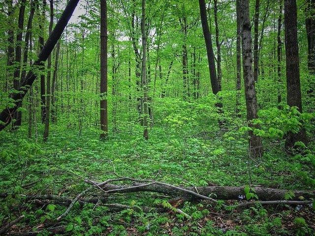 Land for sale in Dunlap, Middle Tennessee