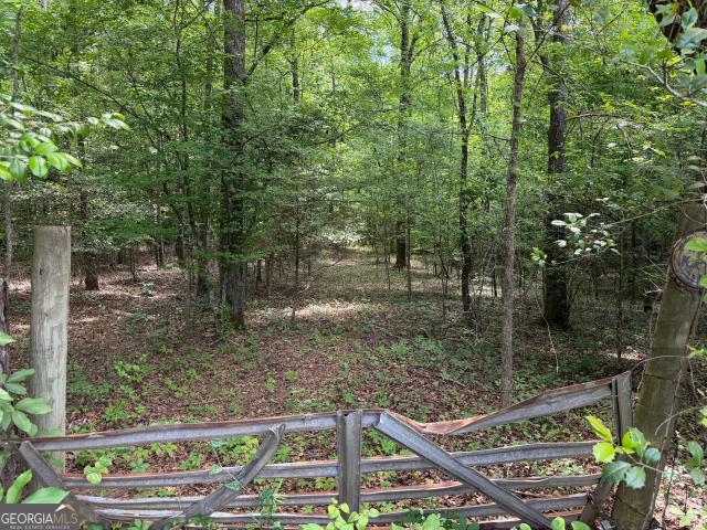 Land for sale in Wilkinson, Georgia