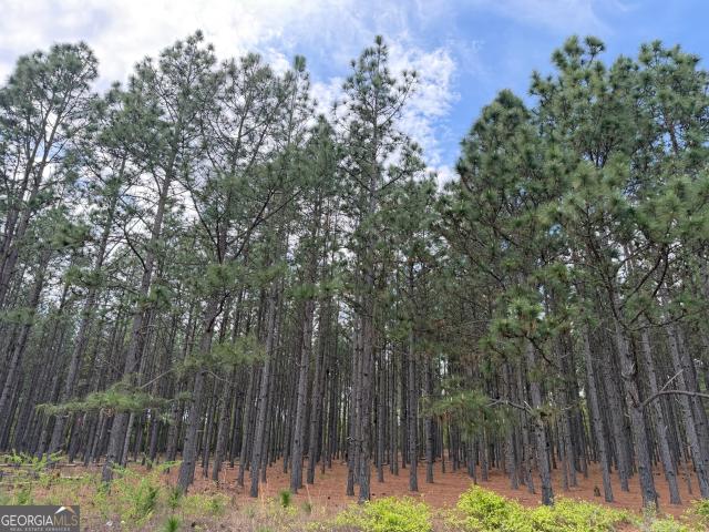 Land for sale in Stewart, Georgia