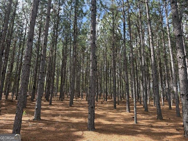 Land for sale in Stewart, Georgia