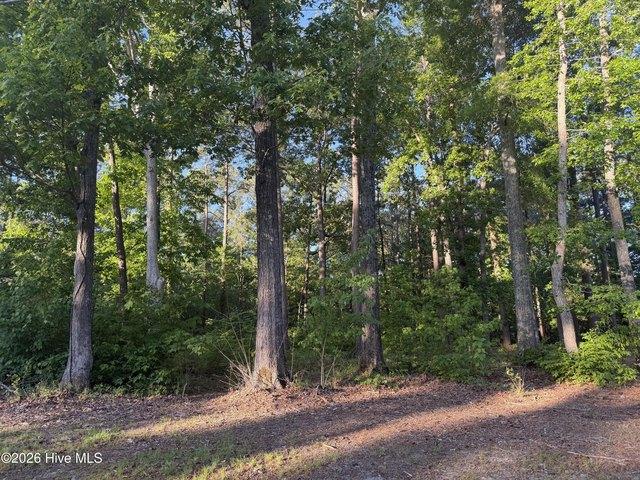 Land for sale in Hertford, North Carolina