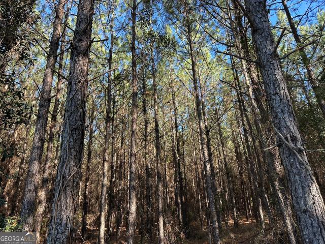 Land for sale in Cottonwood, Alabama