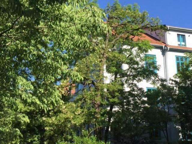 Apartment mieten in Striesen, Dresden