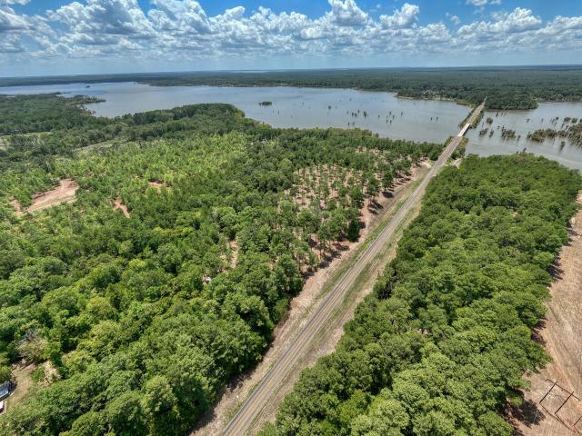 Land for sale in Pineland, Texas