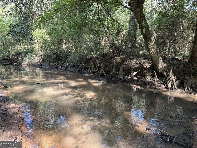 Land for sale in Cuthbert, Georgia