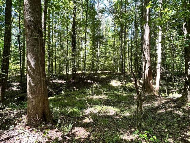 Land for sale in Anderson, South Carolina