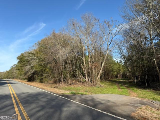 Land for sale in Plains, Georgia