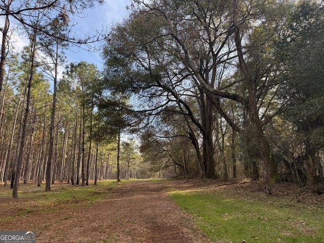 Land for sale in Plains, Georgia