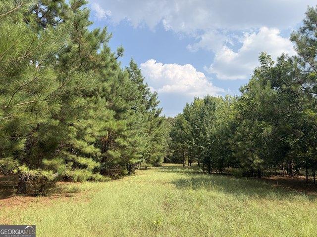 Land for sale in Plains, Georgia