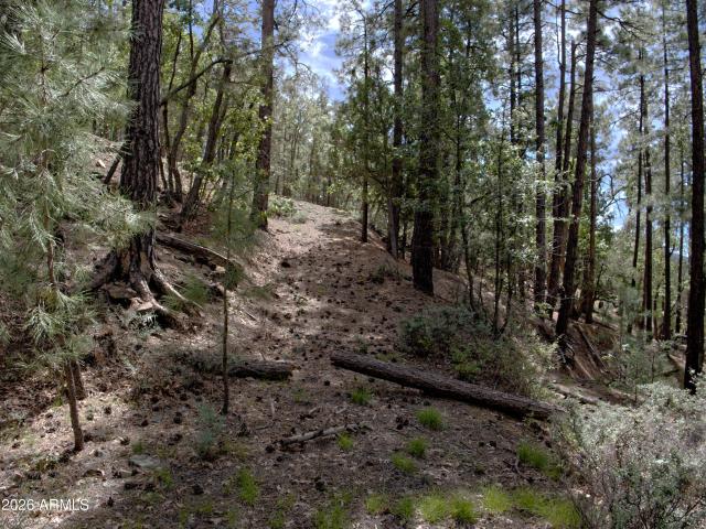 Land for sale in Prescott, Yavapai County
