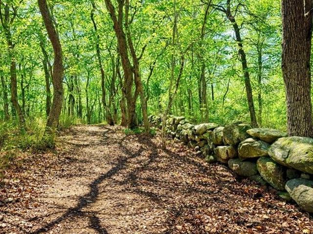 Land for sale in Chilmark, Massachusetts