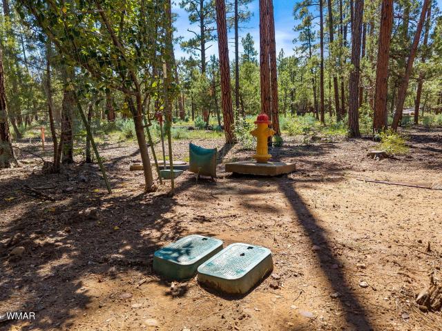 Land for sale in Navajo, Arizona