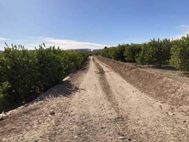 Terreno en venta en Área Metropolitana de Murcia, Murcia