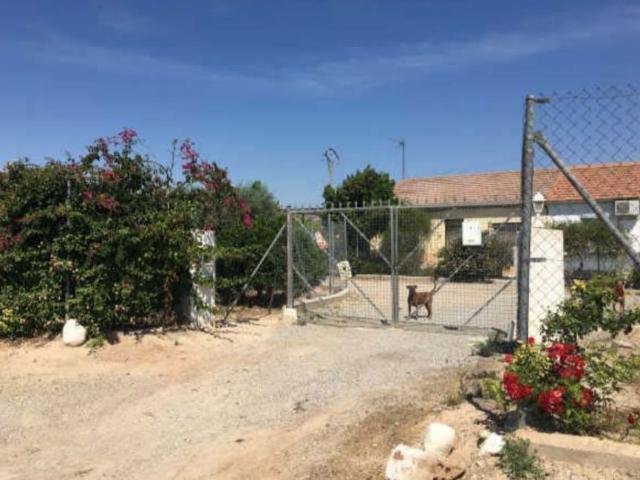 Terreno en venta en Área Metropolitana de Murcia, Murcia