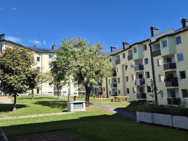 Wohnung mieten in Katastralgemeinde Amstetten, Amstetten